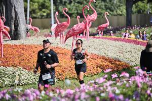 BIB: 
                            <button type="button" onclick="openModal(27793359)" class="btn btn-primary btn-sm float-right btn-popup" data-toggle="modal" data-target=".modal-high-quality">
                        <i class="fas fa-shopping-cart"></i> Add to Cart
                    </button>
                                            <button type="button" onclick="isThisMe(27793359, true)" class="btn btn-success btn-sm float-right btn-popup btn-isme hidden" data-toggle="tooltip" data-placement="bottom" title="นี่คือรูปของคุณใช่ไหม คลิกที่นี่เพื่อเอาเข้าอัลบั้ม">
                        <i class="fas fa-plus"></i> Add to album
                    </button>
                    <button type="button" onclick="isThisMe(27793359, false)" class="btn btn-warning btn-sm float-right btn-popup btn-isnotme hidden">
                        <i class="fas fa-ban"></i> Remove from album
                    </button>